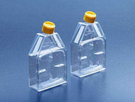 Zellkultur-Flasche mit Druckdeckel 115 cm² mit Steg, gammasteril