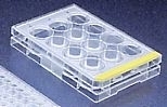 Zellkultur-Testplatten 12 well; einzeln steril verpackt