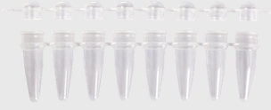 PCR-Reaktionsgefäße (Ratiolab); 0,2 ml 8er-Strips als Set