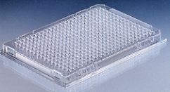 PCR-Mikrotestplatte PP (Plastibrand), 384-well, mit vollem Rahmen, transparent