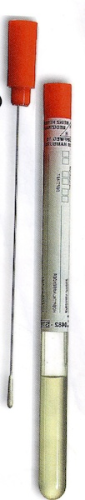 Abstrichbesteck -Röhrchen mit dünnem Aluminiumstab/Wattetupfer, mit Amies-Transportmedium, steril