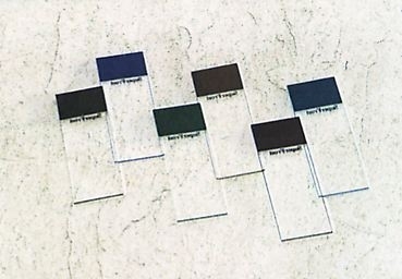 Adhäsions-Objektträger (Super Frost Plus) 76x26 mm, bekantet, mit weißem Schriftfeld