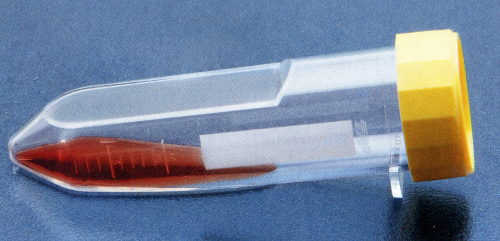 Zellkulturflachröhrchen mit Filterschraubkappe PS, 10 ml, gammasteril