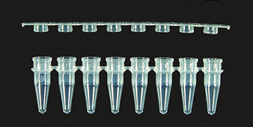 PCR-Reaktionsgefäße (Axygen); 0,2 ml 8er-Strips als Set
