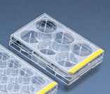 Zellkultur-Testplatten 6-well, einzeln steril verpackt