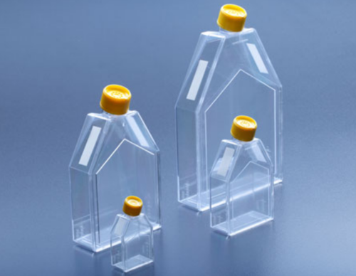 Zellkulturflasche mit Aufreissfolie mit Filter-Schraubkappe 25 cm²/ 60 ml, gammasteril