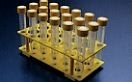 multi_rack_gelb_mittel_fuer_10