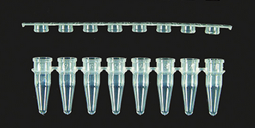 pcr_reaktionsgefaesse_axygen_0 pcr_reaktionsgefaesse_axygen_0